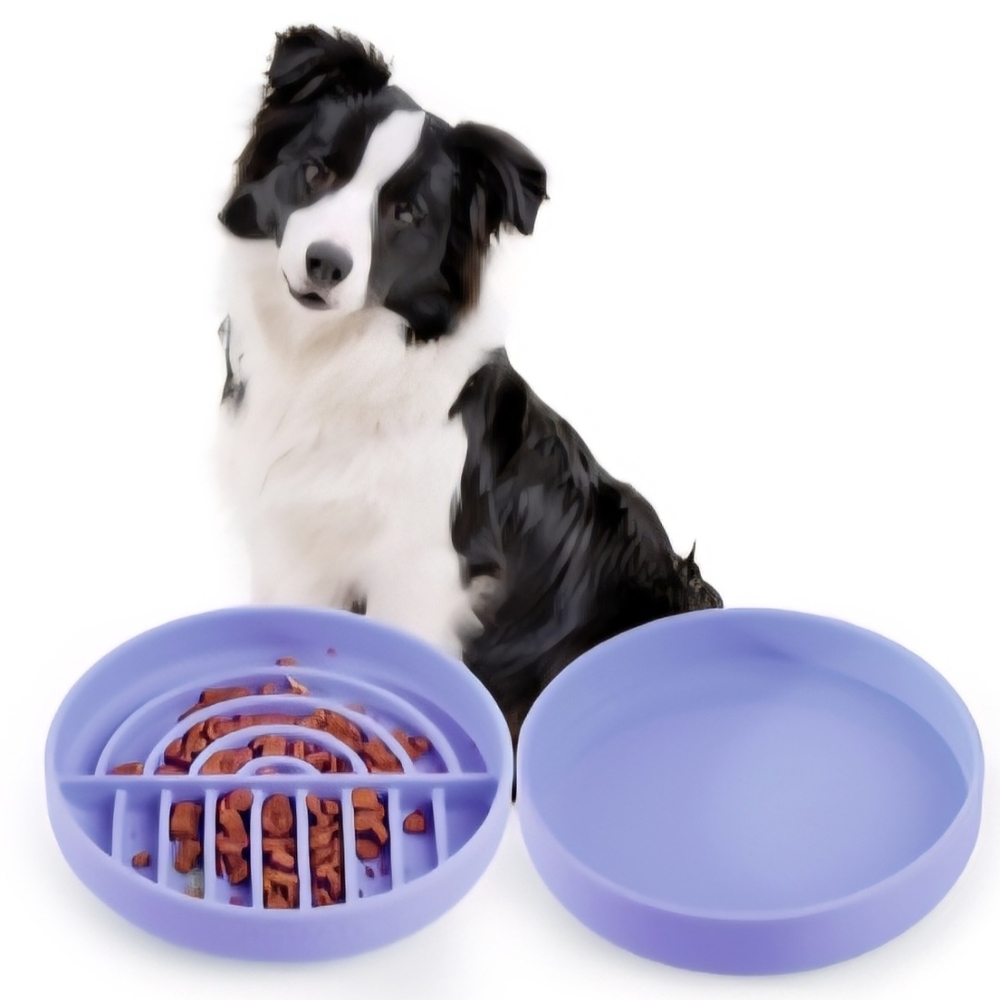 Veevao Purple Slow Feeder Dog Bowl
